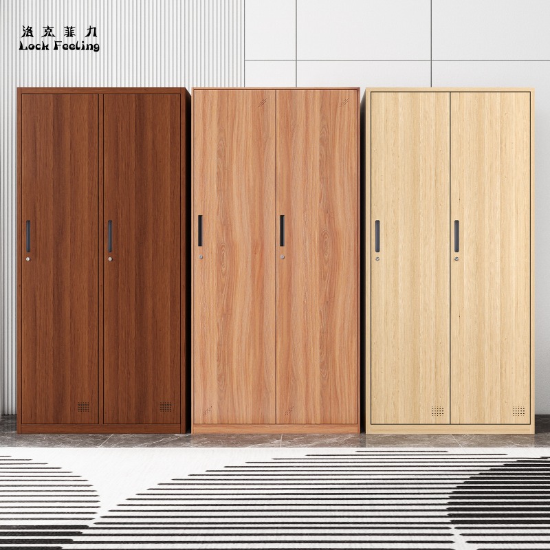 Home Gym In A Box - Casier pour employés, dortoir, armoire en