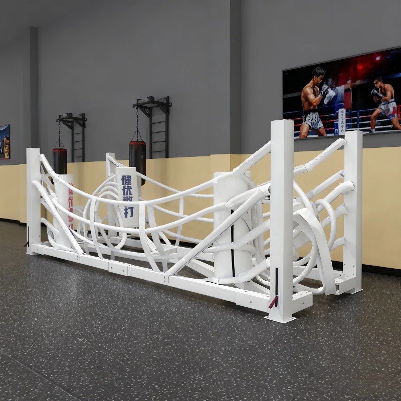 Ensemble de ring de boxe pliab - Home Gym Foldable avis et prix