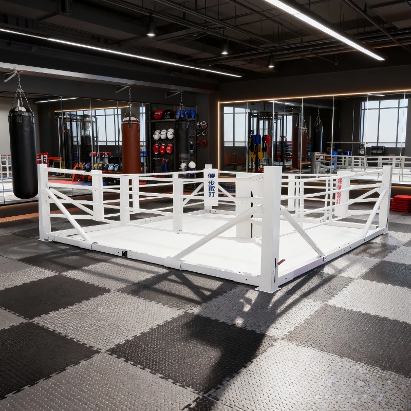 Ensemble de ring de boxe pliab - Home Gym Foldable avis et prix