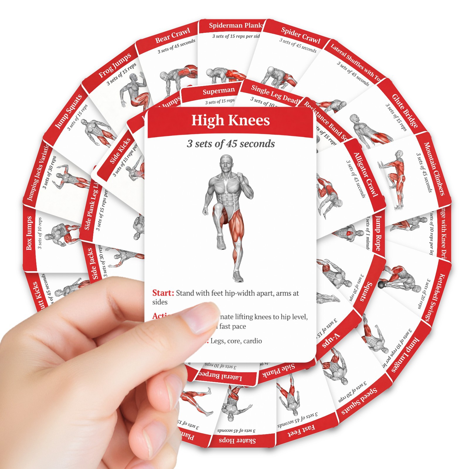 Cartes de guide d'entraînement - Home Gym Full Setup avis et prix
